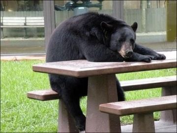 na spokojenosti zaměstnanců nezáleží